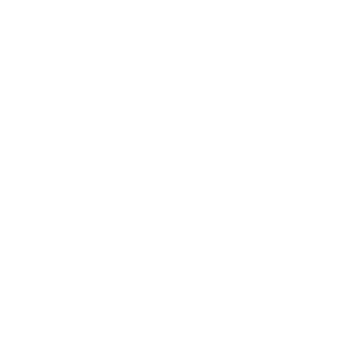 IP Solutions - Visions To Reality